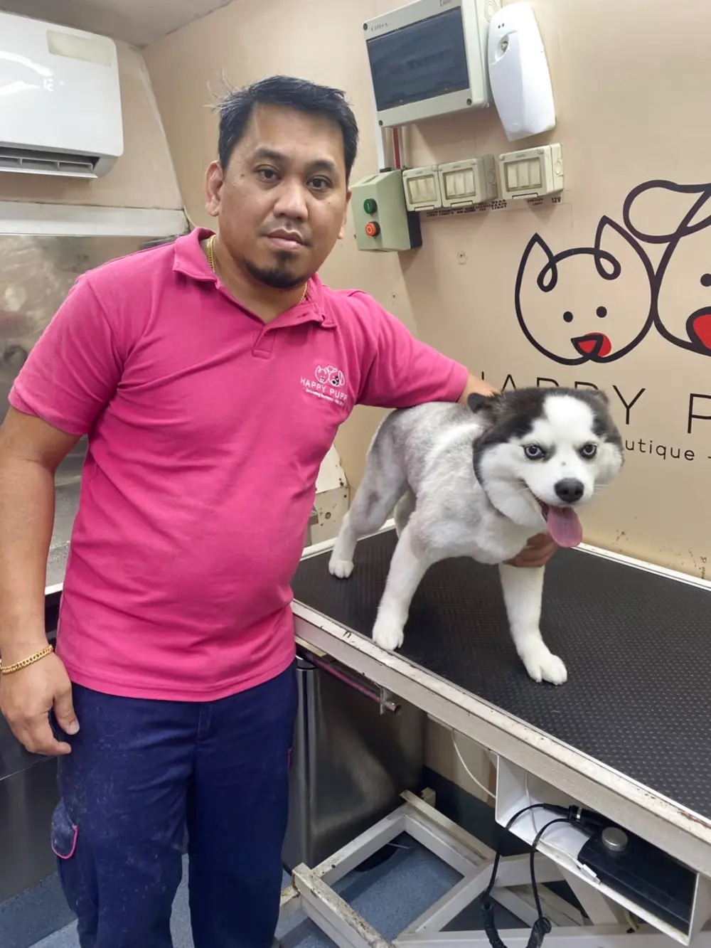 Groomer with a freshly groomed husky on the table inside the air-conditioned van