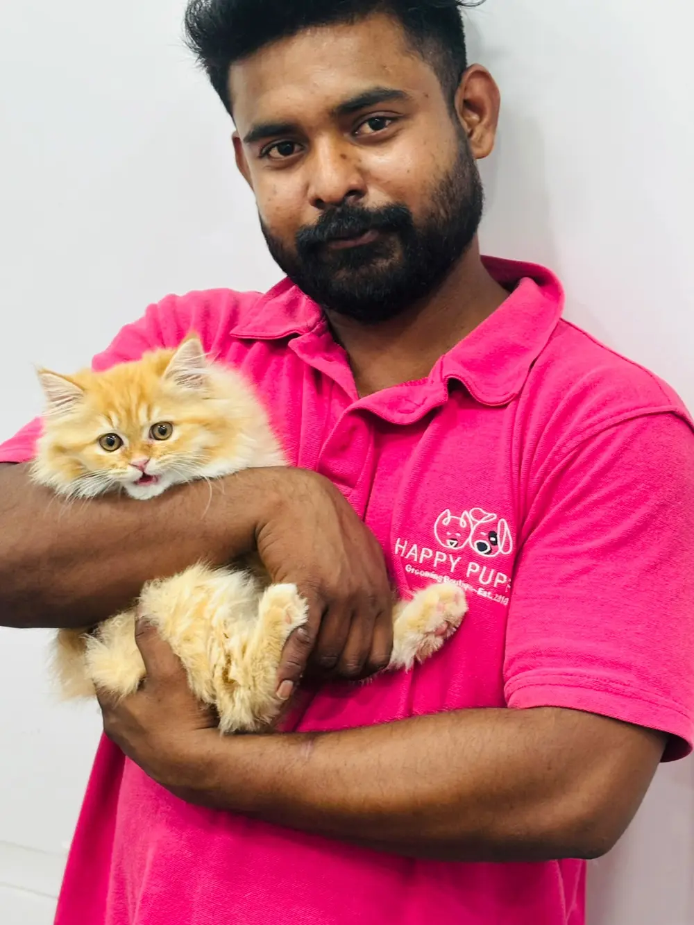 Happy Puppy groomer gently holding a kitten inside the van